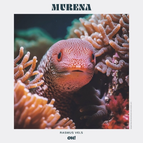 Rasmus Vels - Murena EP [OHR122]